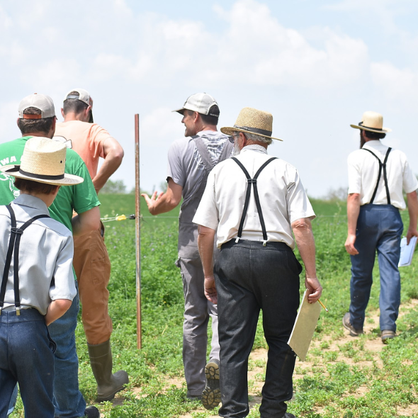 A group walking through a pasture in a Kalona Regenerative Network project photograph